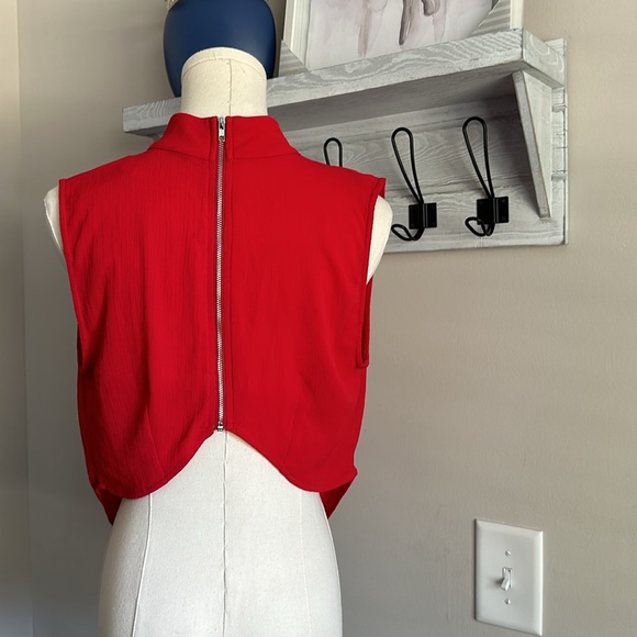 Windsor Deep V Neck Drape Front Choker Detail Crop Top - Picture 6 of 6